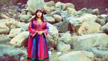 پشتو زبان کی خوبصورت  ویڈیو سونگ:پھسو ٹائمز ملٹی میڈیا