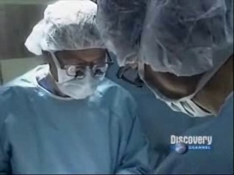 El poder de los genes 03