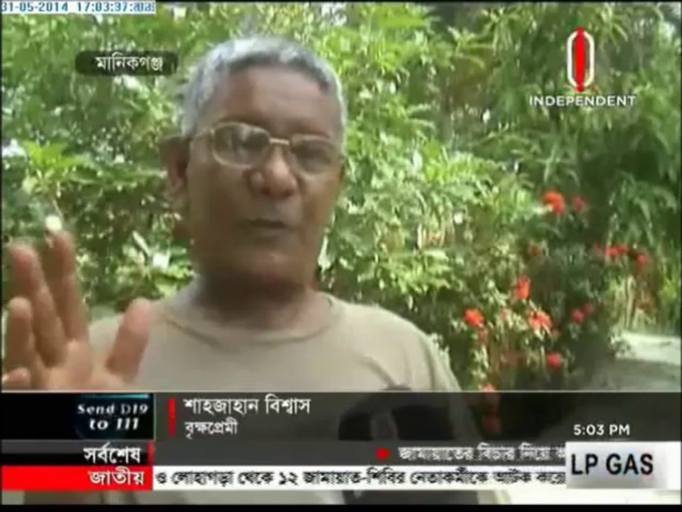 গাছ
