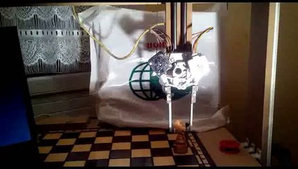 pince chess robot franck dietrich