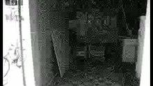 PICT2779