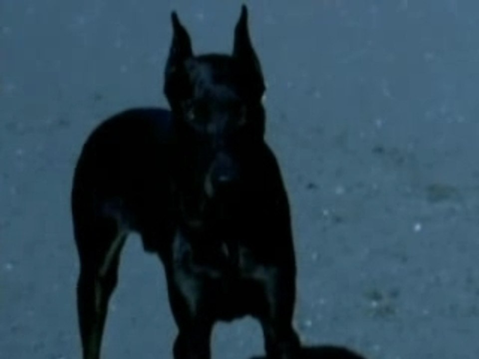 Madonna - Frozen.'98