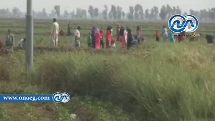 شاهد .. سيارة تطالب الفلاحين بالتوجه للجان ويتركوا الزراعات من أجل مصر