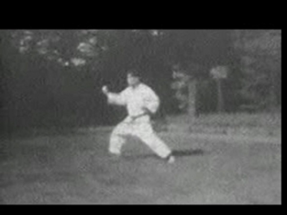 Karate kata shotokan - 11 - kankudai-big