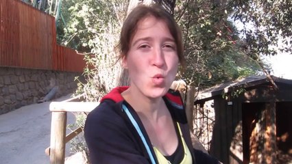 Hey Toe 07 - Zoo Santiago 4