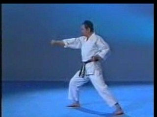 Kata - heian shodan