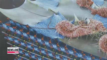 New antibiotic nanofilm saves both time and money