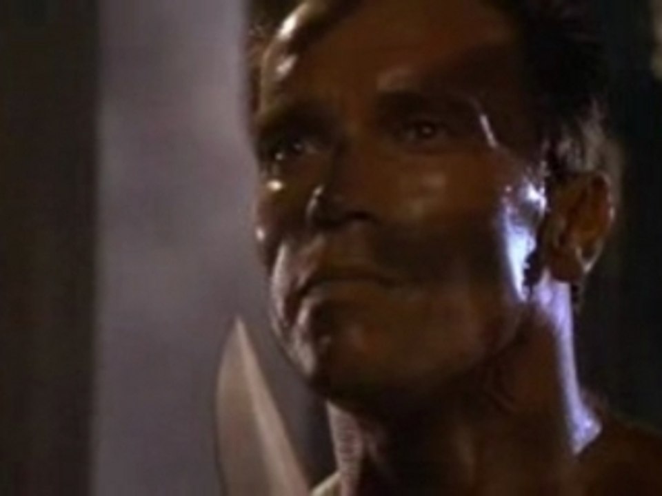 Freddie Mercury contre Schwarzenegger