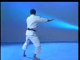 Shotokan karate - kata heian nidan