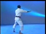 Shotokan karate - kata heian nidan
