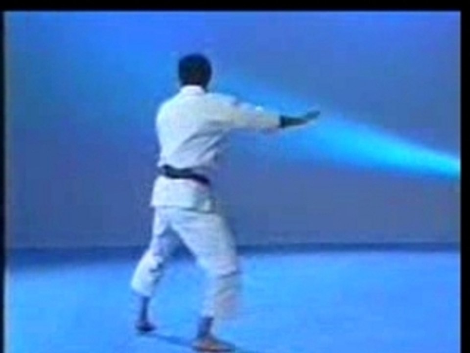 Shotokan karate - kata heian nidan