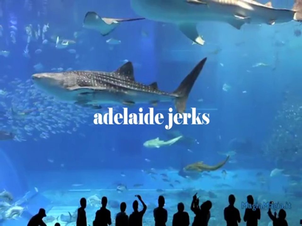 Craigslist Catfish - Adelaide Jerks