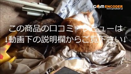 ツヤ感ラバー素材♪BACKリボンウェッジレインブーツ・ロングブーツ 評価 評判 感想 画像 写真 動画 レビュー ブログ 口コミ