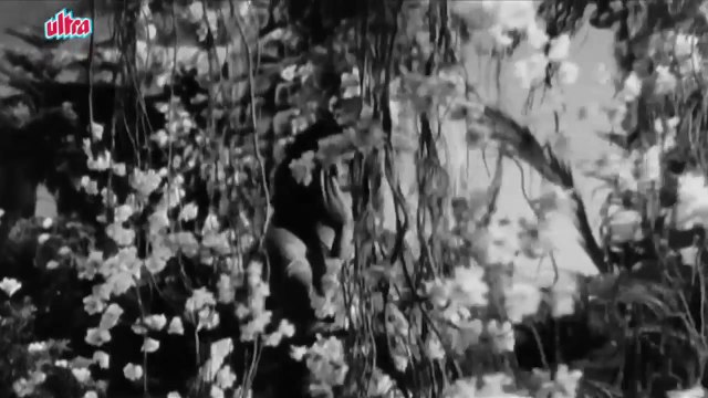 Aaja Sanam Madhur Chandani Raj Kapoor Nargis Chori Chori Song