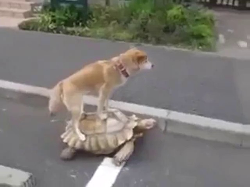 UNIQUE TRAVEL