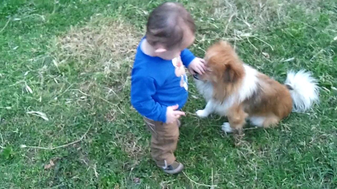 ilk defa köpek gören çocuk Ahmet Bilal