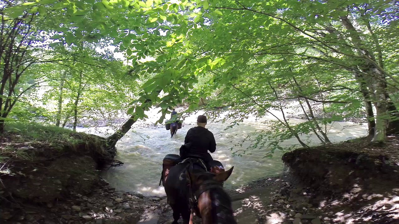 Конные туры Адыгеи (Тур база "Победа" и Тур приют "Пятигорская поляна") horseback riding tours of Adygea