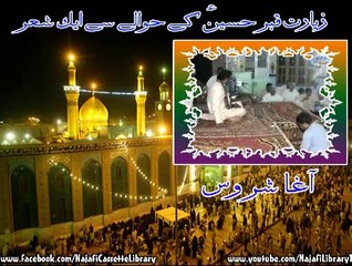 زیارتِ قبر حسینؑ کے حوالے سے ایک شعر ۔ آغا سروش