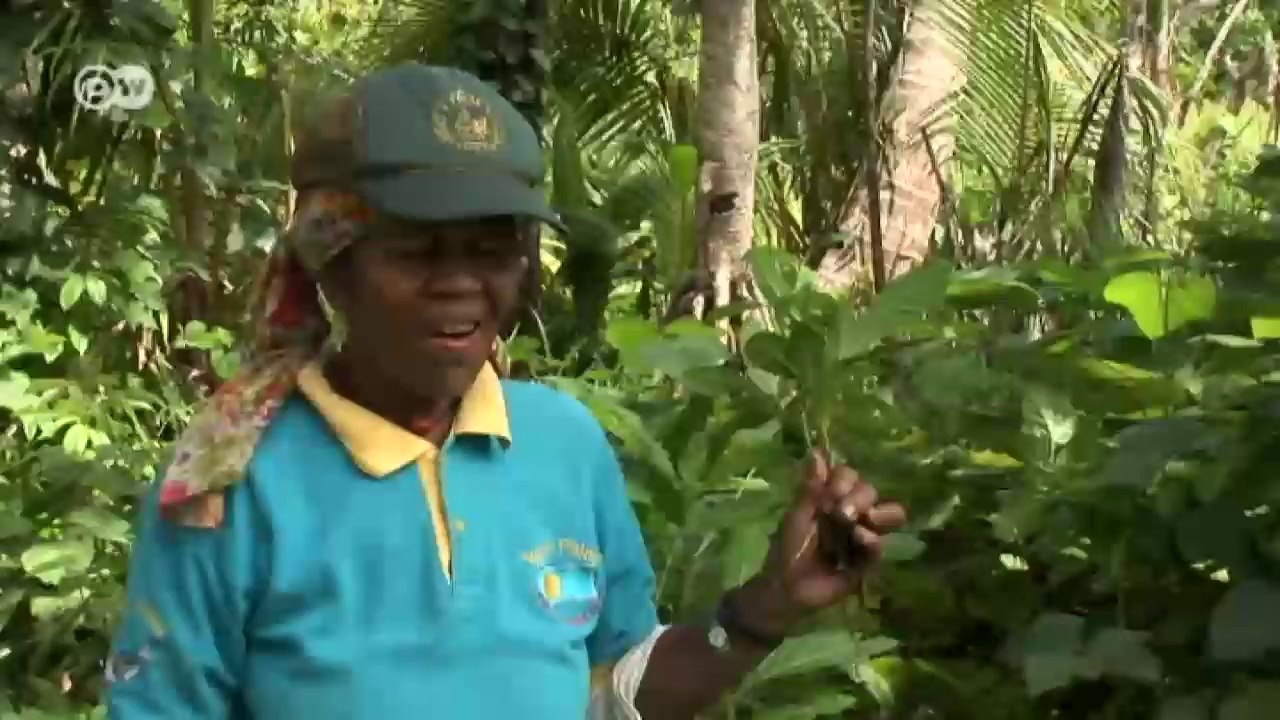 Schnorcheln in der Schule - Unterricht auf Palau | Global 3000