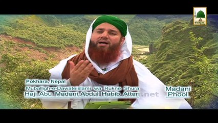 Madani Phool 01 - Sarkar ka Pasandida Mahina (1)
