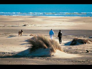 Mag de l'Environnement Zoom sur le programme Life+ ENVOLL