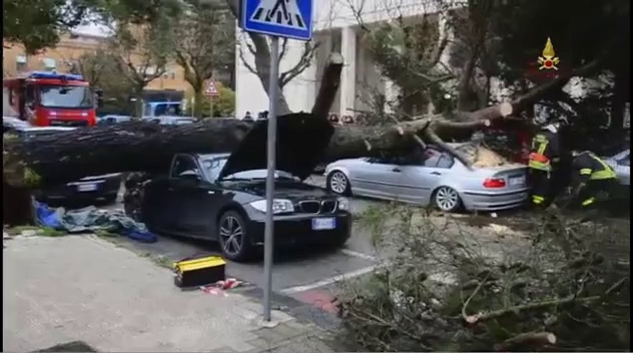 Enna - Interventi causati dal forte vento e dalla pioggia 02 (14.03.13)