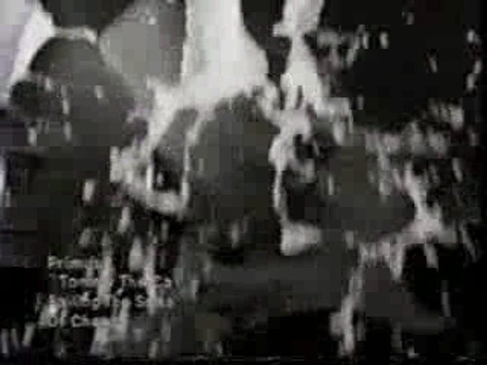 Primus - Tommy The Cat