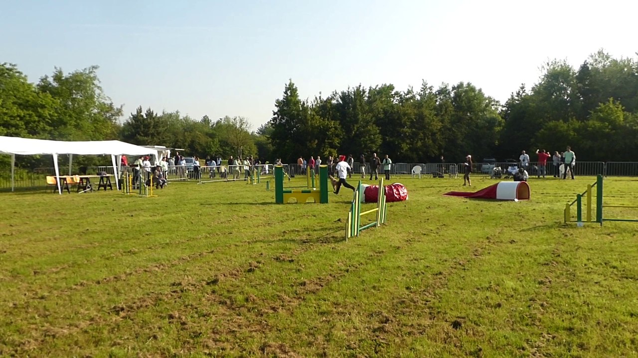 Jumping Canelle