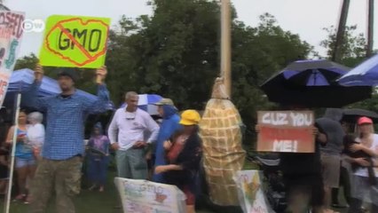 Hawaii: Fear over GM plants and pesticides | Global 3000