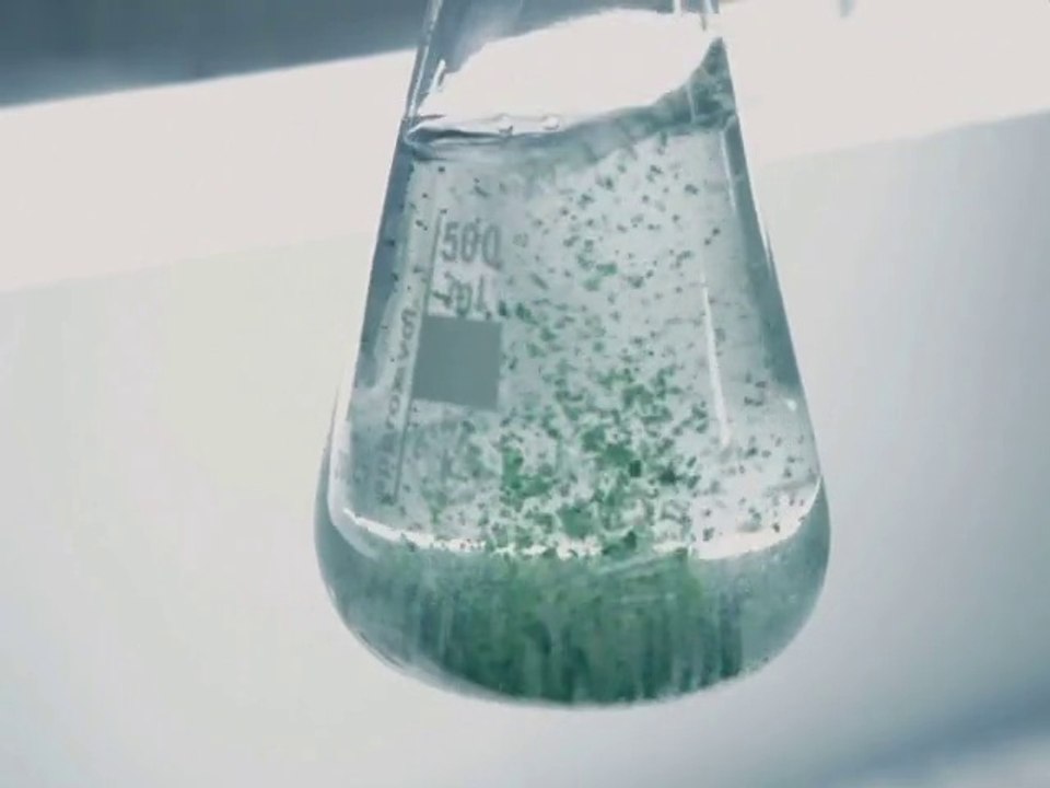 Émission n° 6 - Fête du tourisme 2014 Île de la Réunion