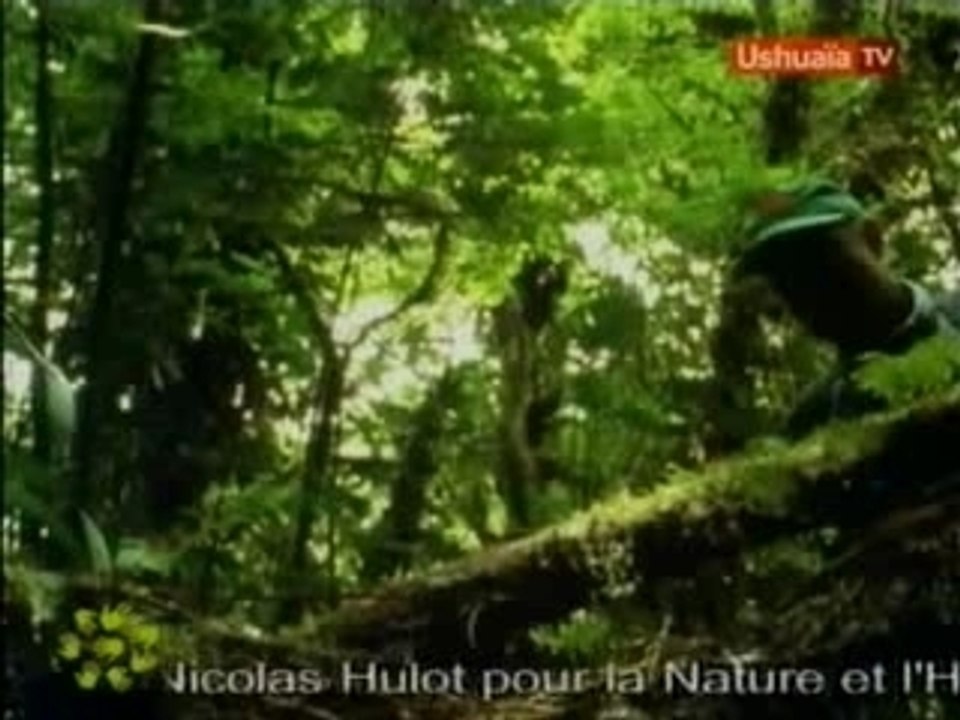 Alerte au réchauffement 2/2