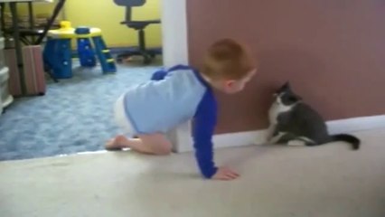 Saklambaç Oynayan Kedi Ve Bebek Videoları izle