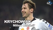Grzegorz Krychowiak, milieu défensif