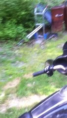 Electra Glide Standard 2005 avril 14