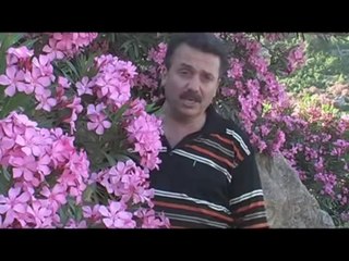 Gidemezsin (Selahattin Özdemir)