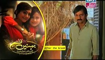 Behnein Aisi Bhi Hoti Hain Episode 29 Full on Ary Zindagi