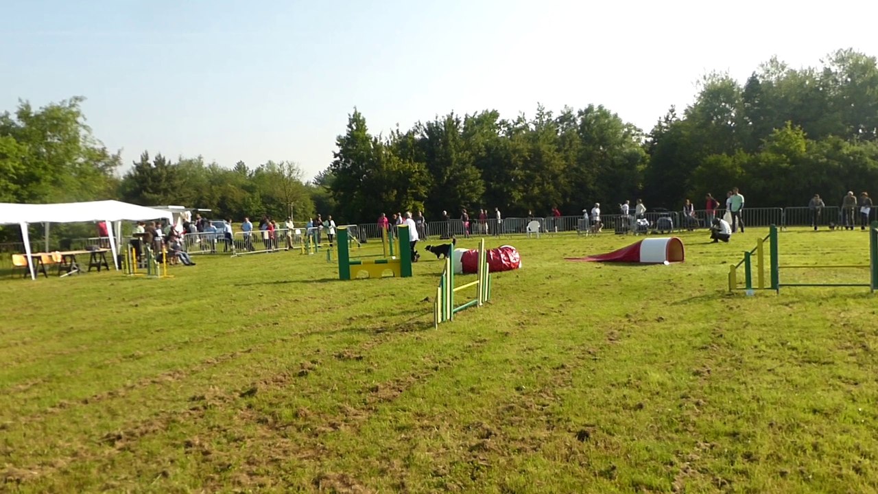 Jumping Lili