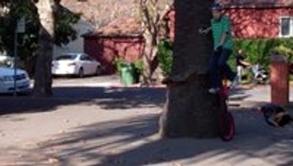 Turkey Chasing A Unicycle