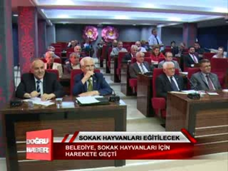sokak hayvanları egitilecek 01 55