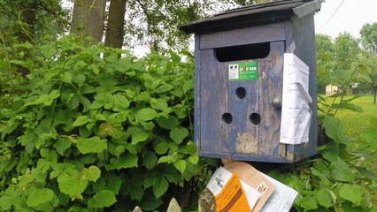 La boîte à mésanges