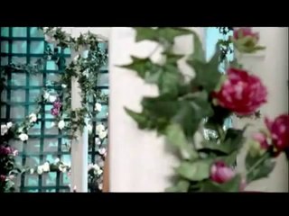 Gül Zamanı (Yıldız Tilbe)