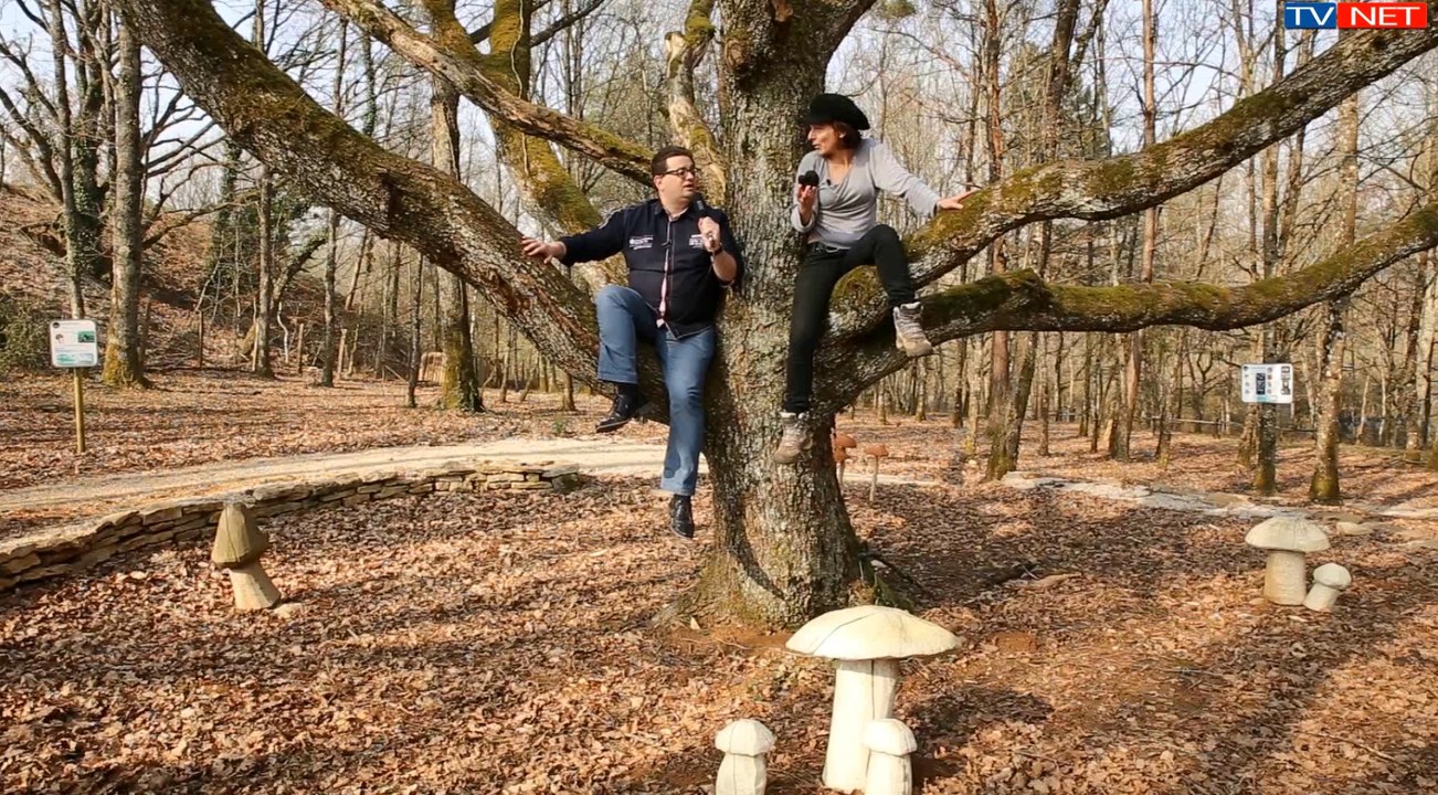 De la terre à la fourchette Chef "Nicolas Isnard"  Risotto à la Truffe de Bourgogne