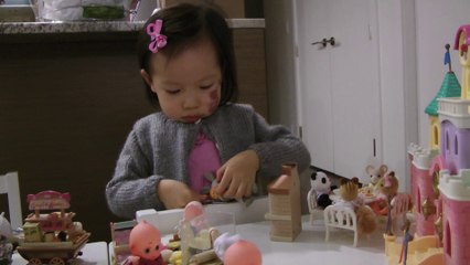 Sylvanian Families And Pizza