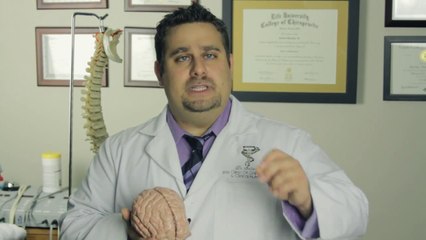 Chiropractor in Panama City FL | ADHD Treatment