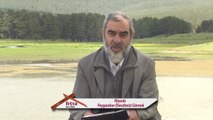 181-Rüyada Peygamber Efendimizi Görmek - Nureddin Yıldız - fetvameclisi.com