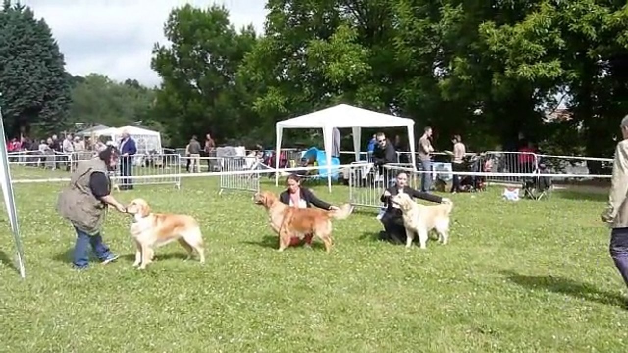 Expo First St Girons 2014