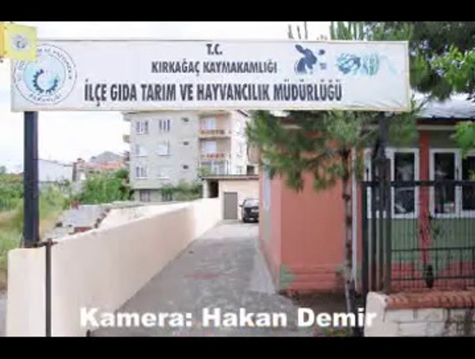 DEVLETTEN DANE MISIR DESTEĞİ, www.kirkagac.net, kırkağaç, hakan demir