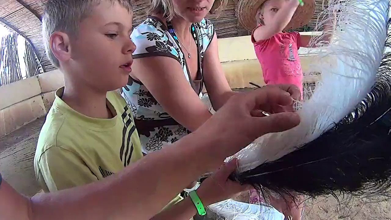 SAHARA BEACH Mai 2014 visite a la ferme d'autruche