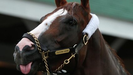 Horse, California Chrome, Gets Shoe Deal