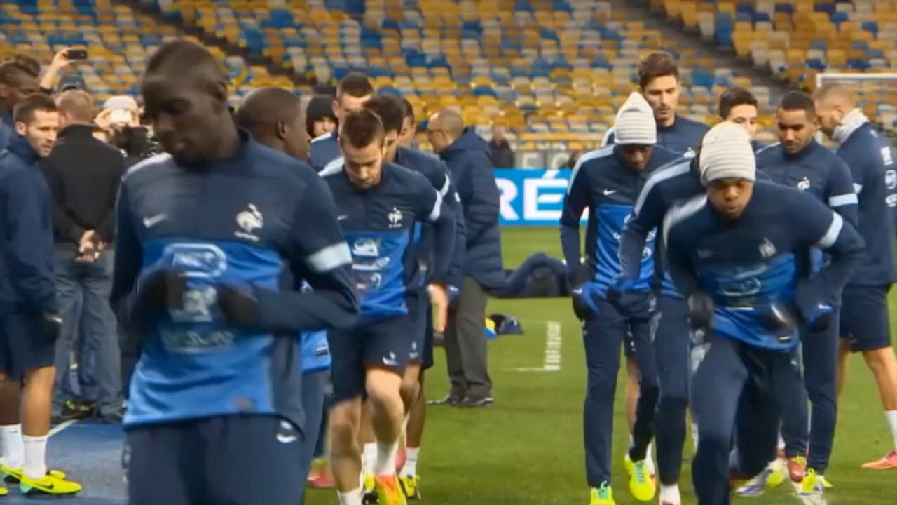 WM 2014: Matuidi: 'Wir brauchen Franck!'